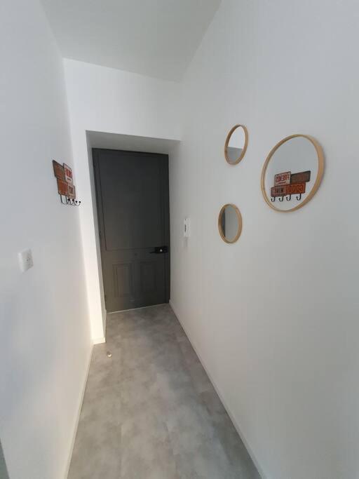 Roanne Centre, Appartement Refait A Neuf. Luaran gambar