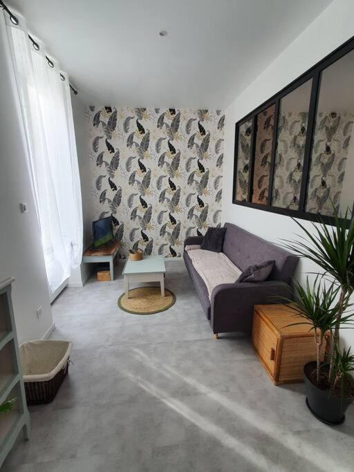 Roanne Centre, Appartement Refait A Neuf. Luaran gambar